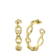 Goudkleurige bijoux oorringen (1066357)
