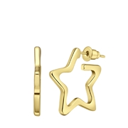Goudkleurige bijoux oorringen ster (1066367)