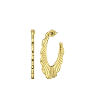 Goudkleurige bijoux oorringen gewelfd (1066371)