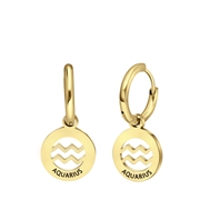 Stalen goldplated oorbellen met sterrenbeeld waterman (1067051)