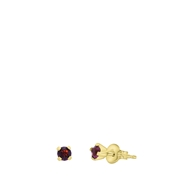 Tiny Tips stalen goldplated oorbellen paarse zirkonia (1067338)