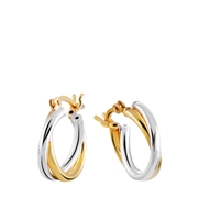 Zilveren oorbellen gold/zilver (1025611)
