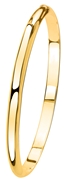 Zilveren armband bangle goldplated (1041387)