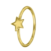 Zilveren ring goldplated galaxy ster (1042152)