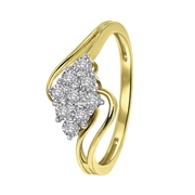 14 karaat geelgouden ring entourage 9 diamanten 0,08ct (1043151)