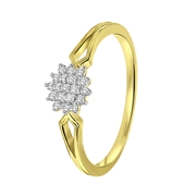 14 karaat geelgouden ring entourage 19 diamanten 0,12ct (1043153)