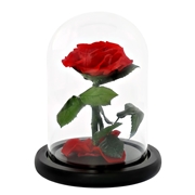 Everlasting Rose, mooie rode roos in stolp (1048732)