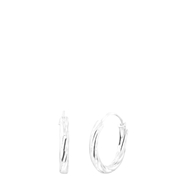 Zilveren oorbellen 12mm hinge (1052098)