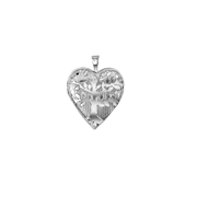 Zilveren hanger medaillon hart levensboom (1052158)