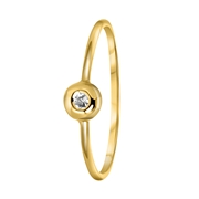 14 karaat geelgouden ring met zirkonia (1055042)