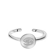 Zilveren ring disc sterrenbeeld (1055728)