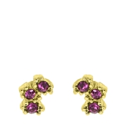 Goudkleurige bijoux oorbellen met steentjes (1056373)