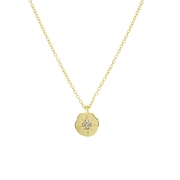 Goudkleurige bijoux ketting met hanger ster (1056385)