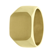 Gerecycled stalen goldplated zegelring vierkant (1067709)
