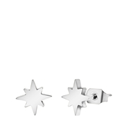 Stalen oorbellen met ster (1067624)