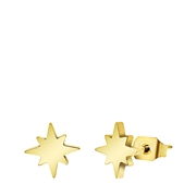 Stalen goldplated oorbellen met ster (1067625)