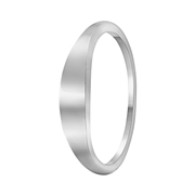 Silberner Ring rhodiniert (1068165)
