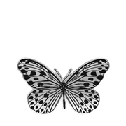 Zilverkleurige bijoux broche vlinder (1069144)