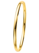 14 karaat geelgouden holle bangle armband (1004323)