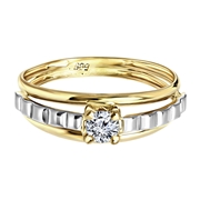14 Karaat bicolor gouden ring met zirkonia (1008884)