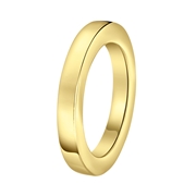 Vergoldeter Ring flach schmal (1009149)