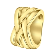 Vergoldeter Ring breit (1009173)