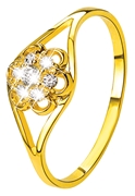 14 karaat geelgouden ring bloem met zirkonia (1011246)