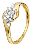 14 karaat geelgouden ring met 15 diamanten 0,25ct (1019519)