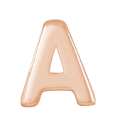 Zilveren hanger roseplated alfabet (1024538)
