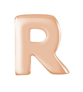 Zilveren hanger roseplated alfabet (1024538)