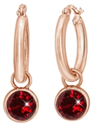 Stalen oorbellen roseplated met ruby zirkonia (1034041)