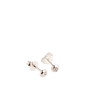 Zilveren oorbellen met zirkonia (1035444)