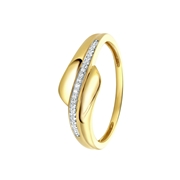 14 Karaat geelgouden ring met 19 diamanten 0,04ct (1037600)