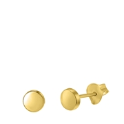 Zilveren oorbellen goldplated rond 5mm (1041596)