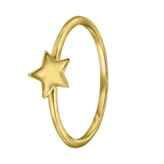 Zilveren ring goldplated galaxy ster (1042152)