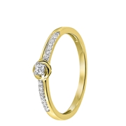 14 Karaat geelgouden ring met 15 diamanten 0,09ct (1043114)