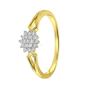 14 karaat geelgouden ring entourage 19 diamanten 0,12ct (1043153)