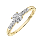 14 Karaat geelgouden ring entourage diamant 0,09ct (1043156)