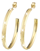 Gerecycled stalen oorbellen goldplated gediamanteerd (1043393)