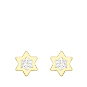 375 Gold Ohrstecker, Stern mit Zirkonia (1045224)