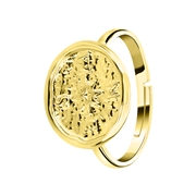 Goudkleurige bijoux ring met kompas (1056766)