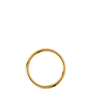 Stalen helixpiercing goldplated ring (1050058)