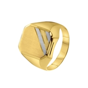 Zweifarbiger Ring aus 585 Gelbgold, sechseckig (1050266)