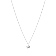 Zilveren ketting&hanger lotus (1053994)