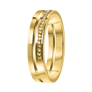 Gerecycled stalen ring goldplated 2rij met light colorado (1054314)