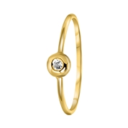 14 karaat geelgouden ring met zirkonia (1055042)