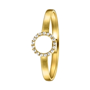 14 karaat geelgouden ring cirkel met zirkonia (1055102)