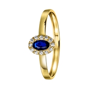 14 karaat gouden ring ovaal met zirkonia (1055108)