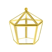 Goudkleurige sieradendoos glas hexagon vorm (1058061)