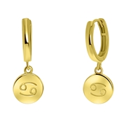 Zilveren oorbellen gold disc sterrenbeeld (1055727)